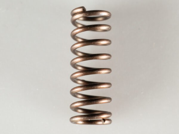 Bolt Catch Plunger Spring
