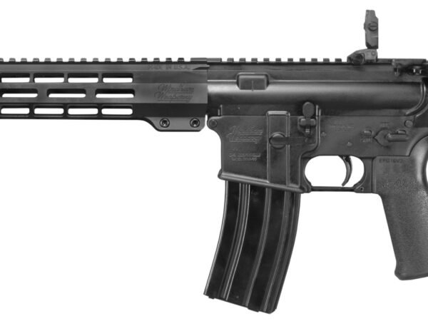 RIFLE 16 SHAVED FRONT SITE, WITH MINIMALIST STOCK.