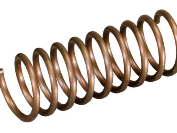 Forward Assist Spring AR